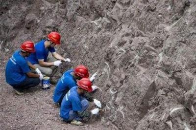 07_建筑消防设施检测,福州消防验收服务,福州提供消防维保