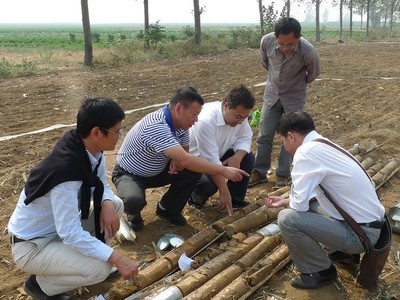 江苏南京地质工程勘察院